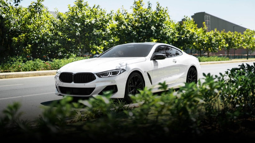 Fran T.'s BMW 230i