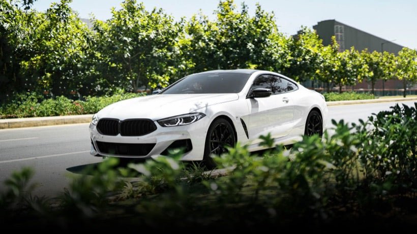 Fran T.'s BMW 230i